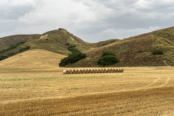 Landelijk landschap in de provincie Matera in de zomer — Stockfoto