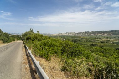 Rural landscape near Policoro, Basilicata
