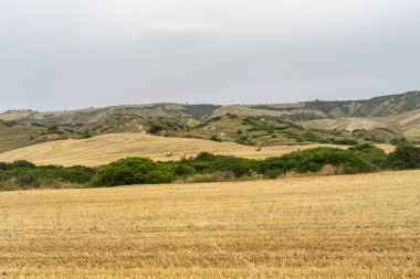 Yazın Matera eyaletinde kırsal alan