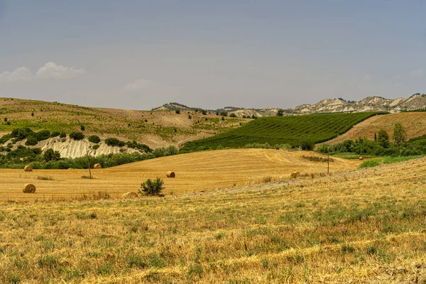 Venkovská krajina v provincii Matera v létě — Stock fotografie