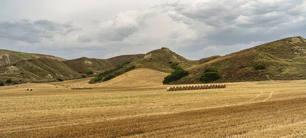 Paysage rural dans la province de Matera en été — Photo