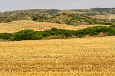 Yazın Matera eyaletinde kırsal alan