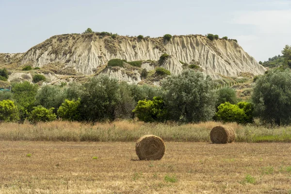 Venkovská krajina poblíž Policoro, Basilicata — Stock fotografie