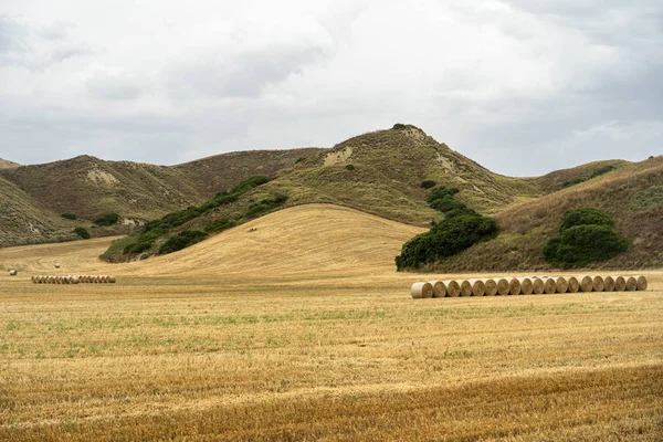 Landelijk landschap in de provincie Matera in de zomer — Stockfoto