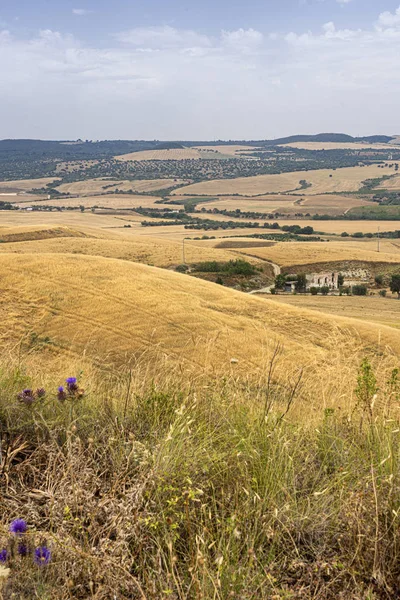 Venkovská krajina v Basilicata v létě — Stock fotografie