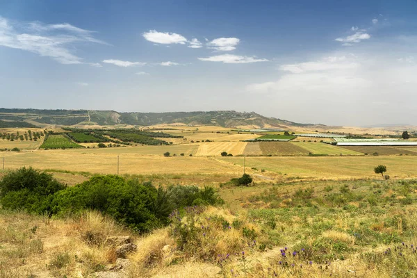 Paisaje rural en Apulia en verano — Foto de Stock