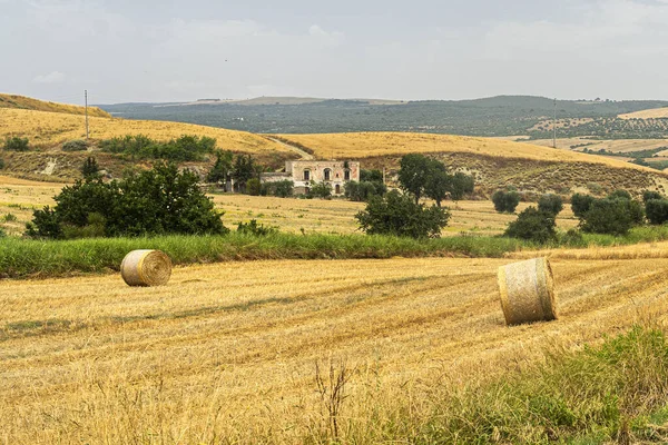 Rural landscape in Basilicata at summer — Stock Photo, Image