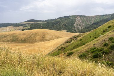 Yazın Basilicata 'da kırsal alan