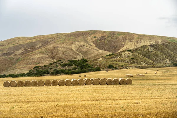 Paisaje rural en la provincia de Matera en verano — Foto de Stock