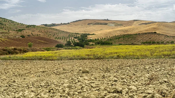 Paisagem rural em Basilicata no verão — Fotografia de Stock