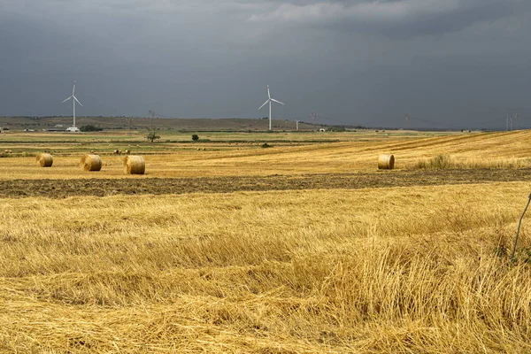 Paisaje rural en Apulia en verano — Foto de Stock