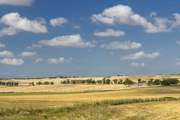 Ländliche landschaft in apulien im sommer — Stockfoto