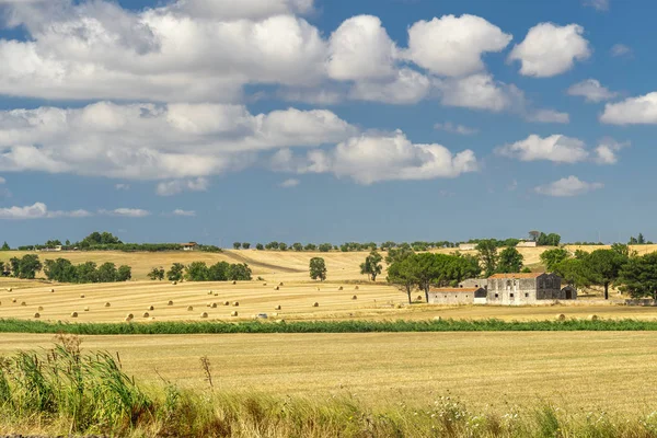 Paisagem rural na Apúlia no verão — Fotografia de Stock