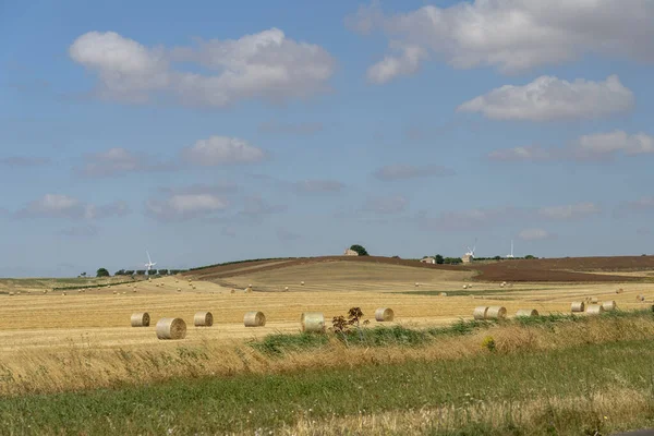 Paisagem rural na Apúlia no verão — Fotografia de Stock