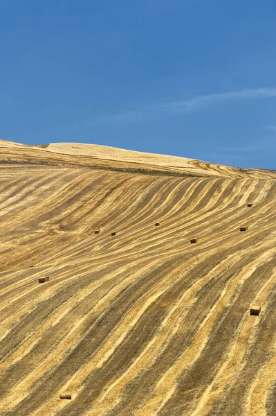 Rural landscape in Apulia at summer — Stock Photo, Image