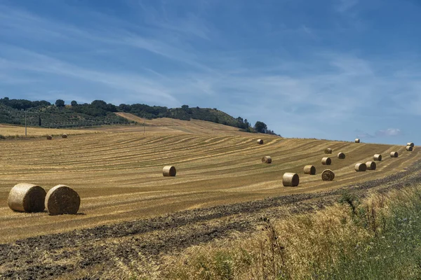 Peisaj rural în Apulia pe timp de vară — Fotografie, imagine de stoc