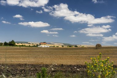 Yazın Apulia 'da kırsal alan