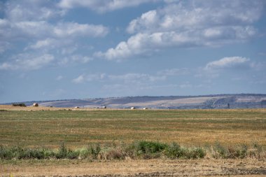 Yazın Apulia 'da kırsal alan