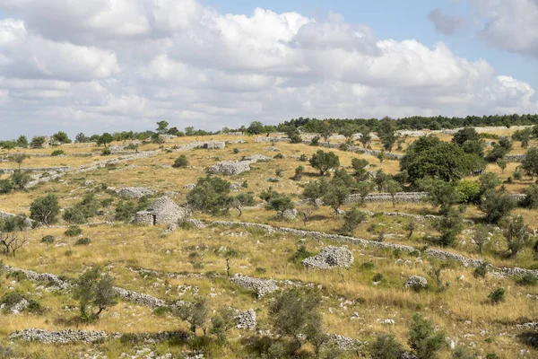 Paisagem rural na Apúlia no verão — Fotografia de Stock