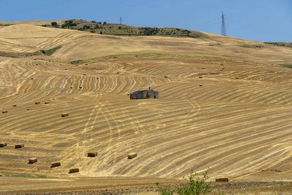 Paisaje rural en Apulia en verano — Foto de Stock