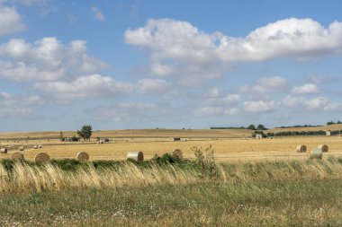 Yazın Apulia 'da kırsal alan