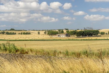 Yazın Apulia 'da kırsal alan