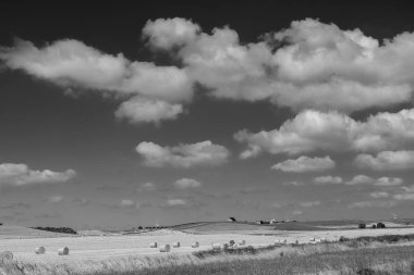 Yazın Apulia 'da kırsal alan