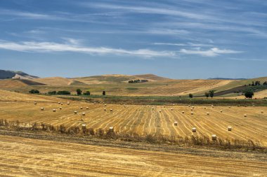 Yazın Apulia 'da kırsal alan