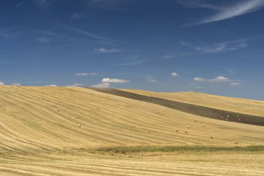 Yazın Basilicata 'da kırsal alan