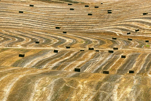 ภูมิทัศน์ชนบทใน Apulia ในฤดูร้อน — ภาพถ่ายสต็อก