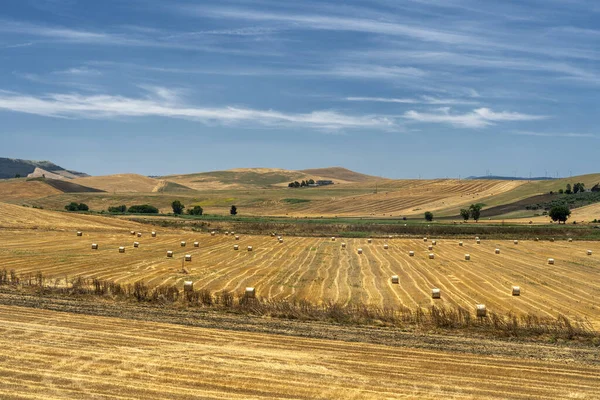 Αγροτικό τοπίο στην Απουλία το καλοκαίρι — Φωτογραφία Αρχείου