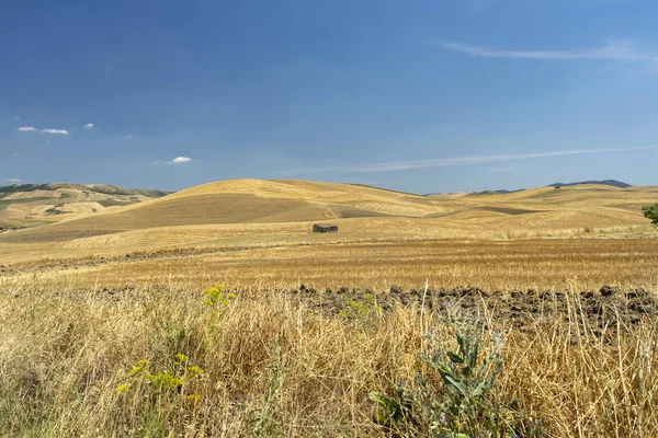 Landelijk landschap in Basilicata in de zomer — Stockfoto