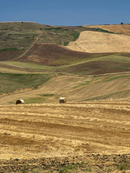 Paisaje rural en Apulia en verano — Foto de Stock