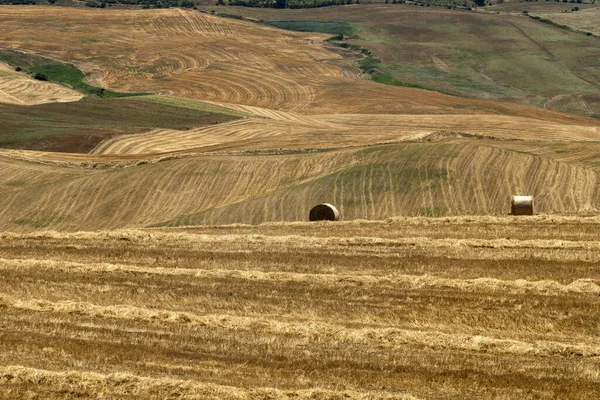 stock image Rural landscape in Apulia at summer