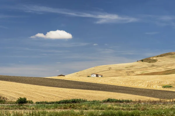 Paisagem rural em Basilicata no verão — Fotografia de Stock