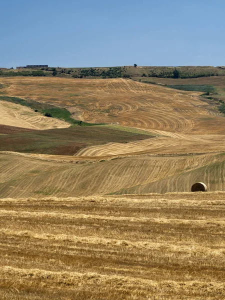 Paisaje rural en Apulia en verano — Foto de Stock