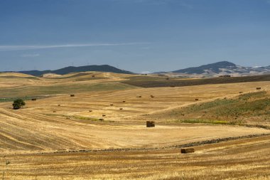Yazın Basilicata 'da kırsal alan