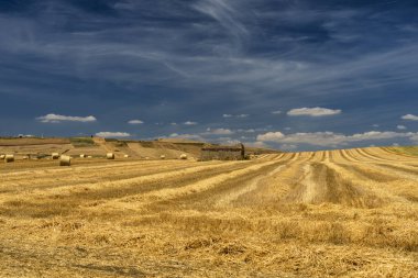 Yazın Basilicata 'da kırsal alan