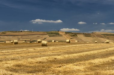 Yazın Basilicata 'da kırsal alan