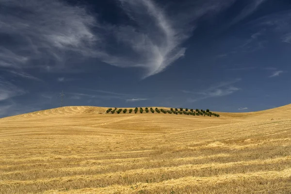 Paisagem rural em Basilicata no verão — Fotografia de Stock