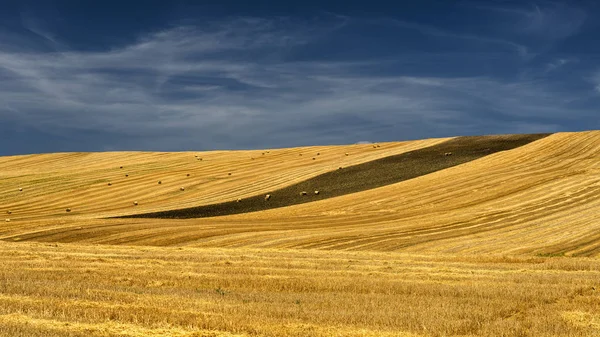 Vidéki táj Basilicata nyáron — Stock Fotó