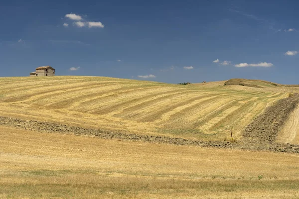 Venkovská krajina v Basilicata v létě — Stock fotografie