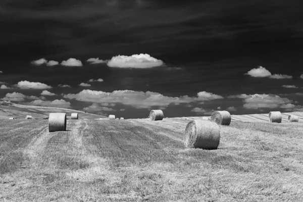 Rural landscape in Basilicata at summer — Stock Photo, Image