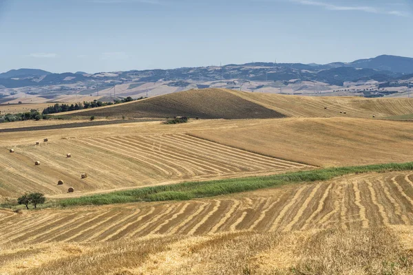 Ländliche Landschaft in der Basilikata im Sommer — Stockfoto