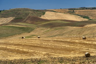 Yazın Apulia 'da kırsal alan