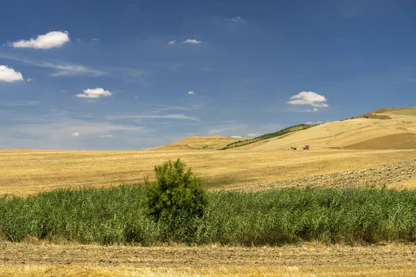 Ländliche Landschaft in der Basilikata im Sommer — Stockfoto