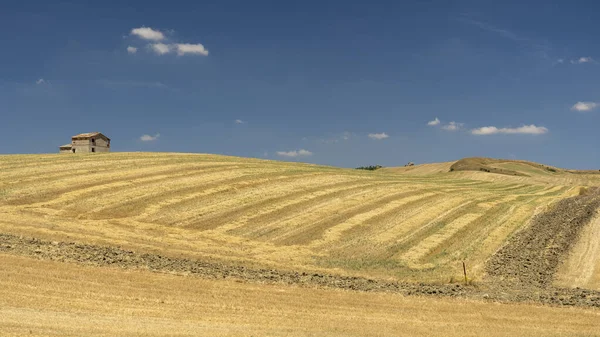 夏のバジリカータ州の農村風景 — ストック写真