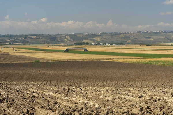 Rural landscape near Lucera, Apulia — Stock Photo, Image