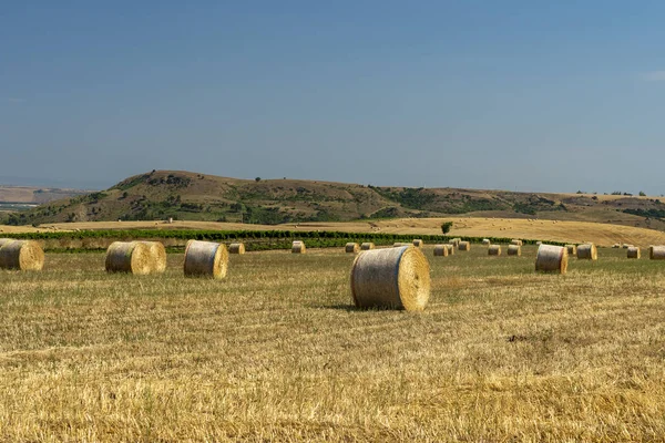Paisaje rural en Basilicata en verano — Foto de Stock