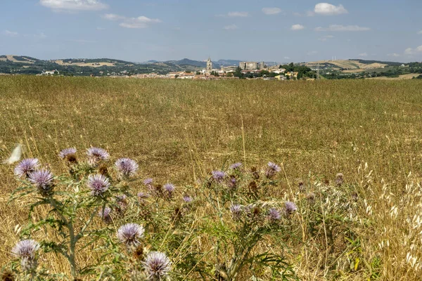 Paisagem rural em Basilicata no verão. Vista de Melfi — Fotografia de Stock